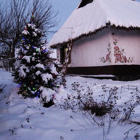 Koryakivskyi Rai Guest House Dmitrenki Exterior foto