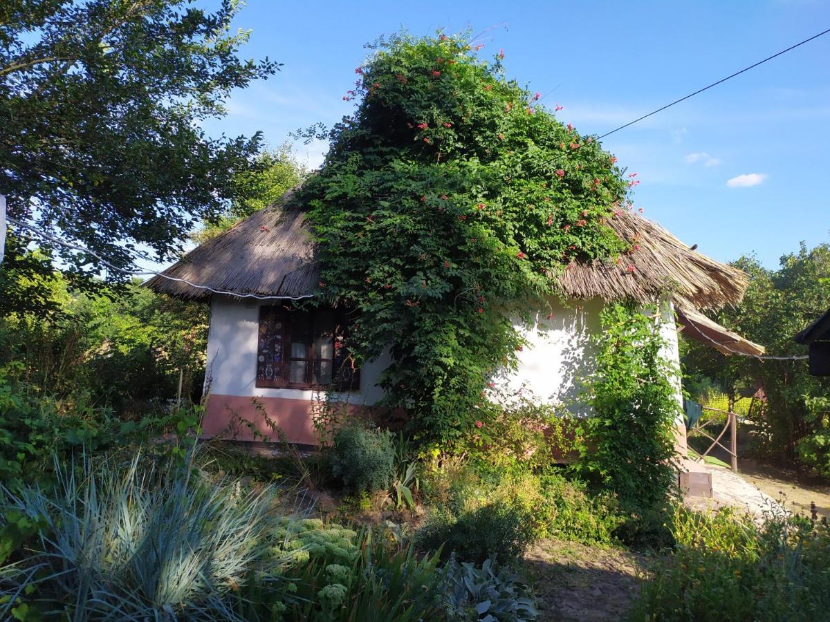 Koryakivskyi Rai Guest House Dmitrenki Exterior foto
