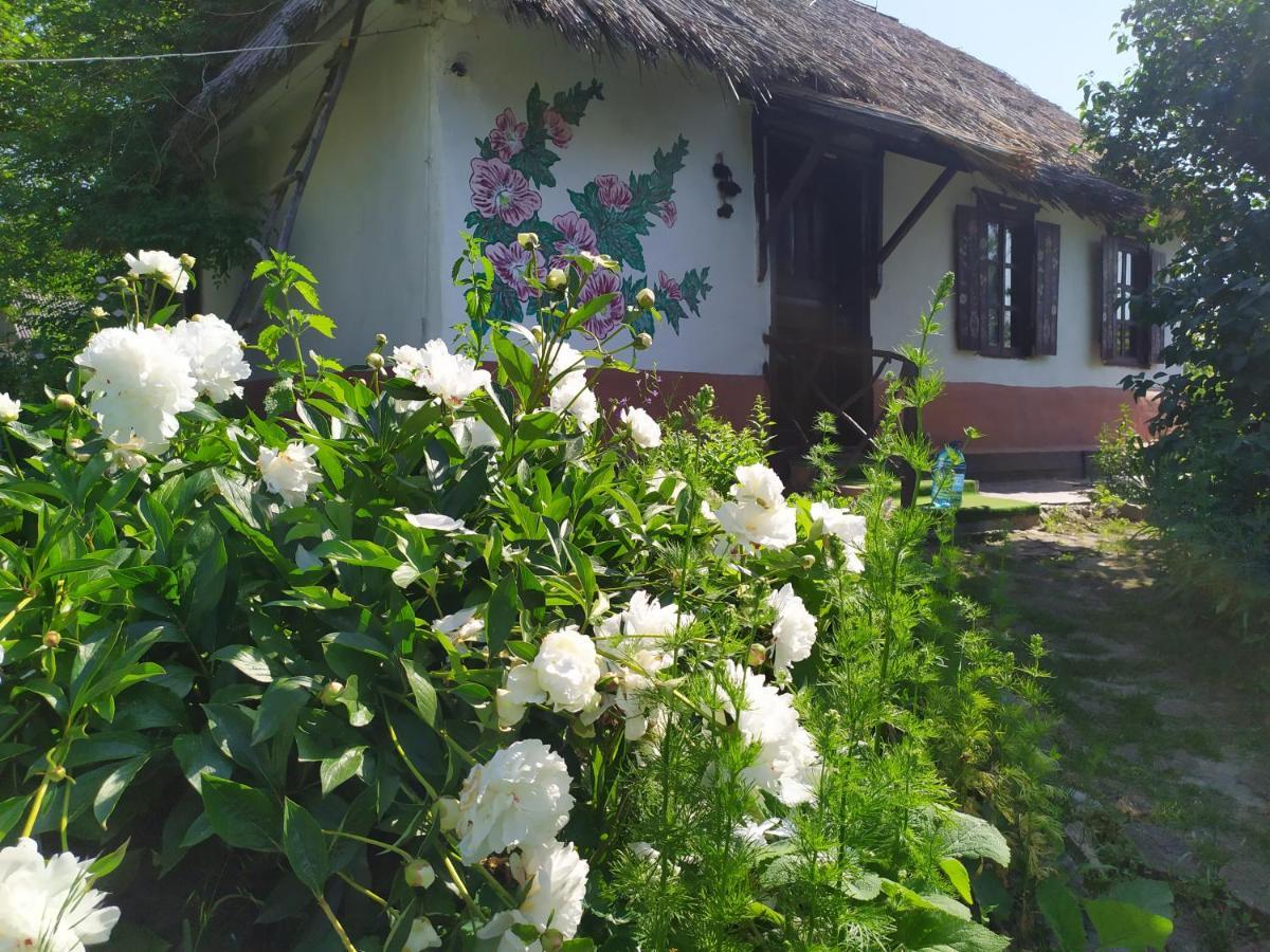 Koryakivskyi Rai Guest House Dmitrenki Exterior foto