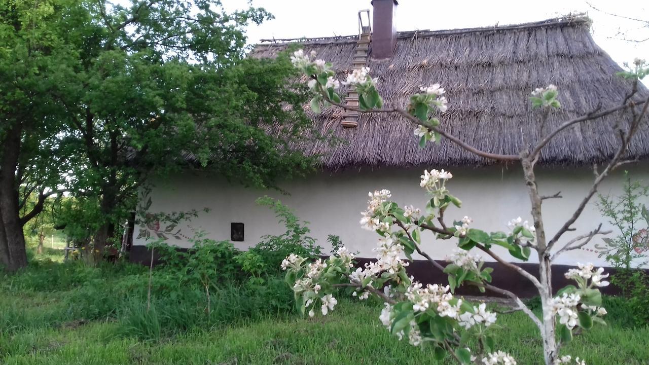 Koryakivskyi Rai Guest House Dmitrenki Exterior foto