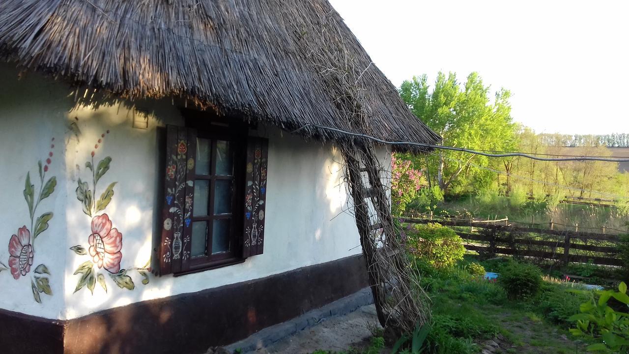 Koryakivskyi Rai Guest House Dmitrenki Exterior foto