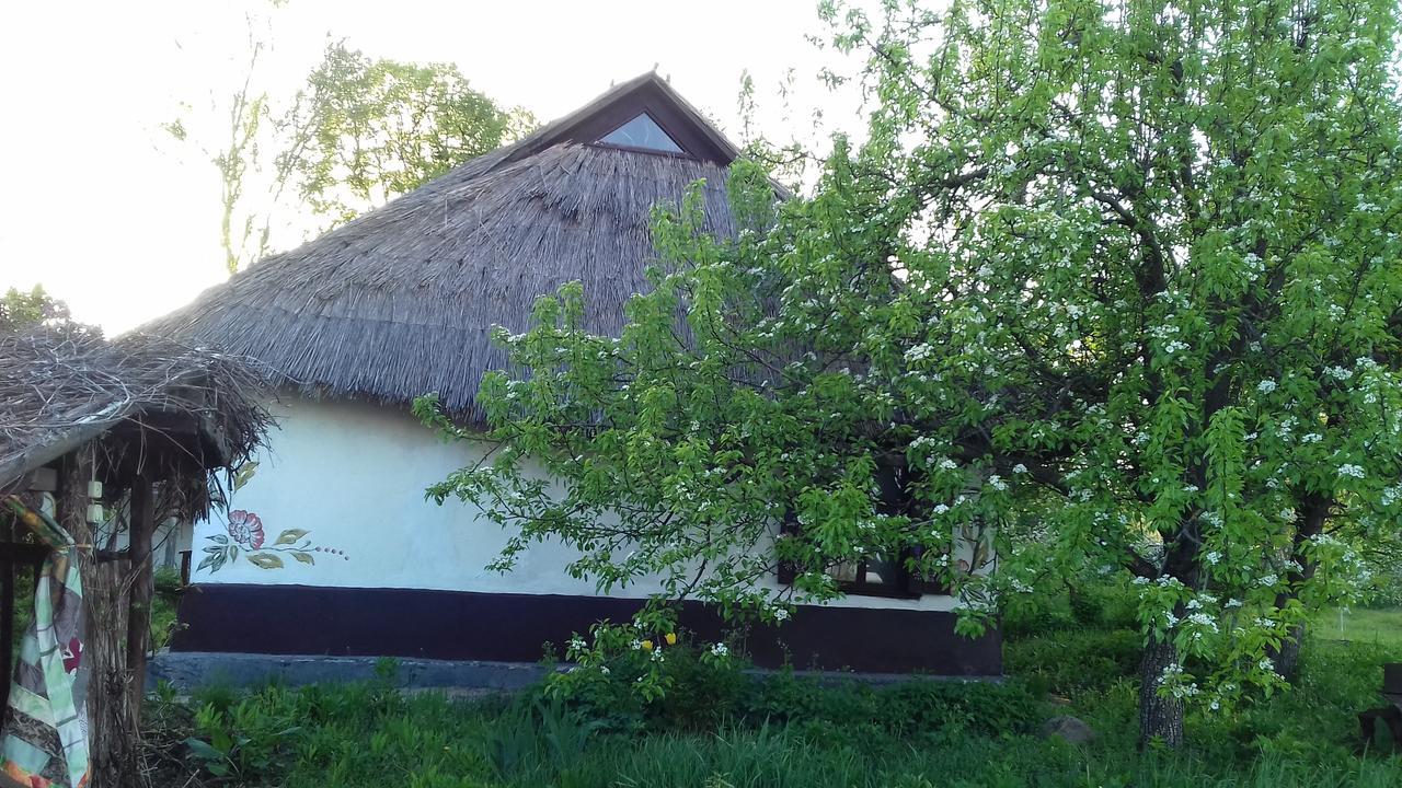 Koryakivskyi Rai Guest House Dmitrenki Exterior foto
