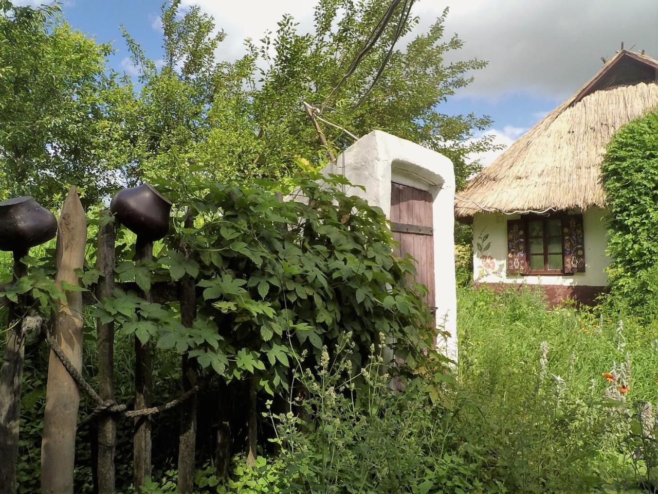 Koryakivskyi Rai Guest House Dmitrenki Exterior foto