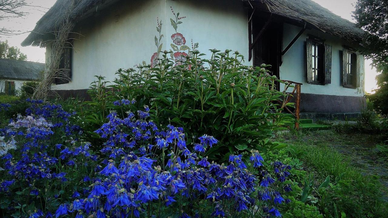 Koryakivskyi Rai Guest House Dmitrenki Exterior foto